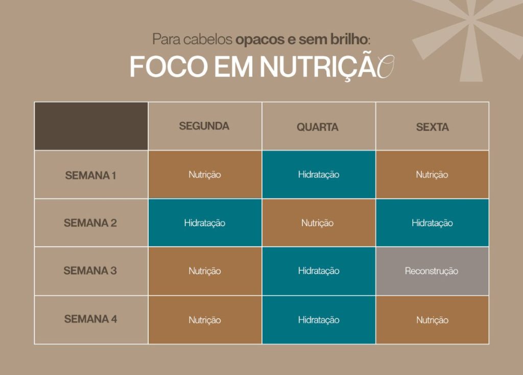 cronograma capilar com foco em nutrição